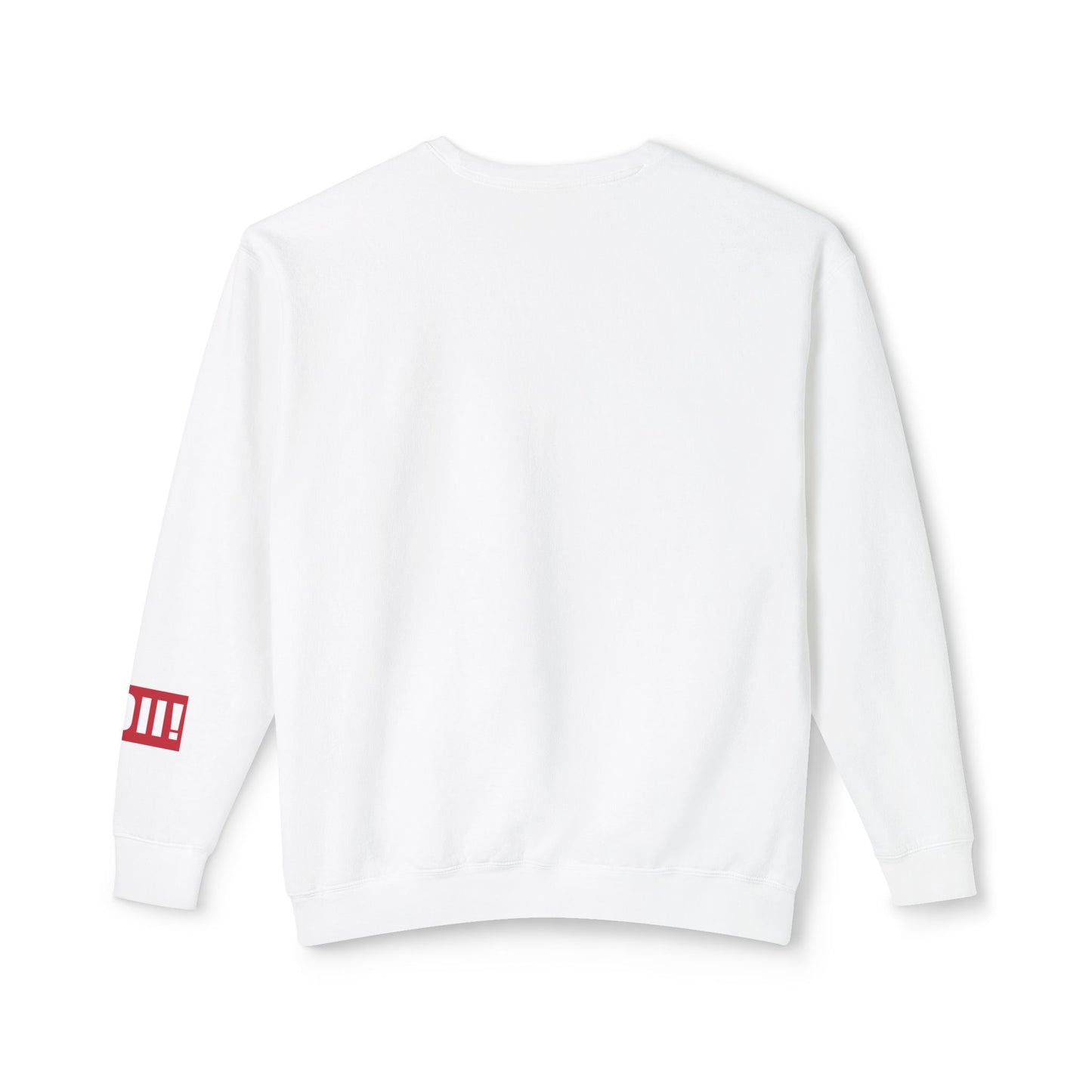 ALPHA OMICRON PI! Red Crewneck